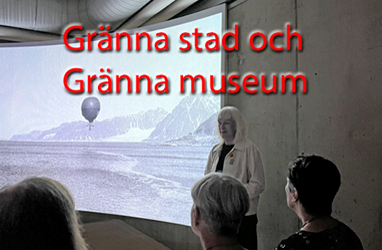 Gränna stad och Grenna museum